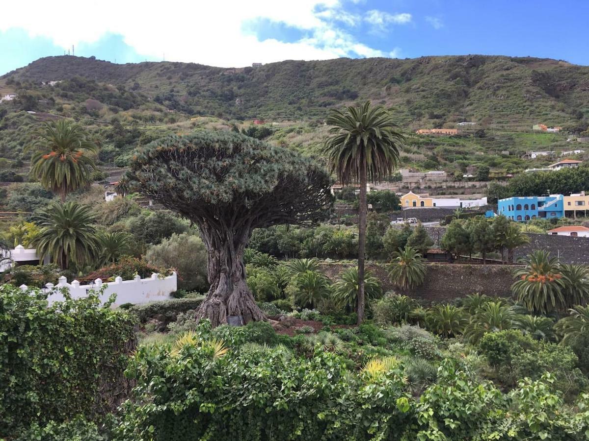 #Ocean View Studio #Wifi Icod De Los Vinos Exterior photo